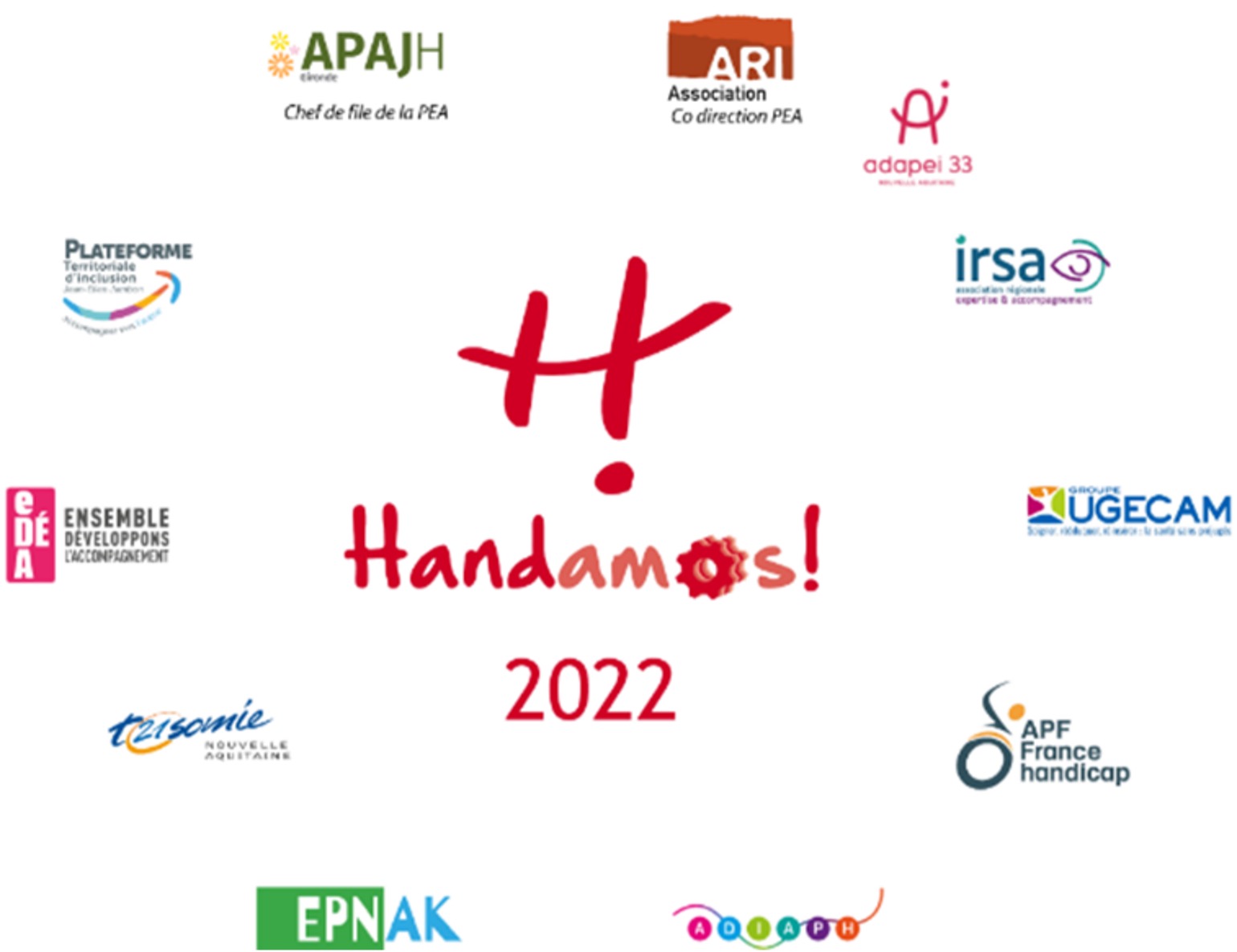 les acteurs handamos