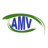 AMV 