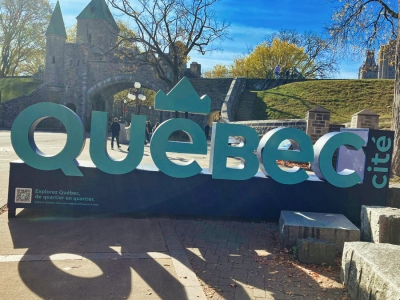 Réseau Francophone en Déficience Sensorielle et du Langage (RFDSL)