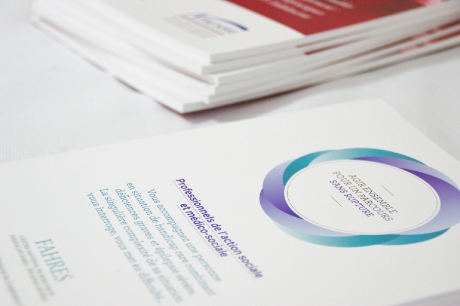 1ère journée thématique sur les handicaps rares réunissant près de 200 professionnels du handicap sensoriel en Nouvelle-Aquitaine