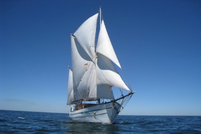 Ils nous racontent la Tall Ships Regatta