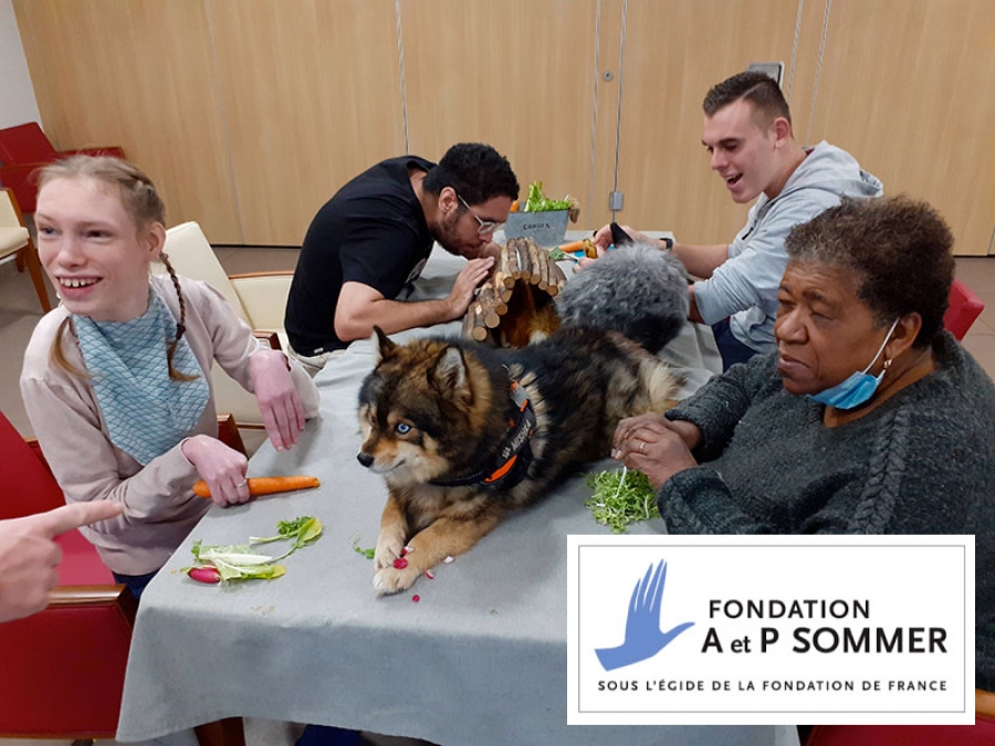 Les animaux de la ferme s'invitent à la Résidence Luis Daney