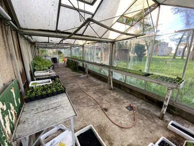 Semer les graines de l’autodétermination, de l’amour-propre et de l’ouverture à l’autre : au CSES Alfred Peyrelongue, nos jeunes se révèlent par le jardinage.