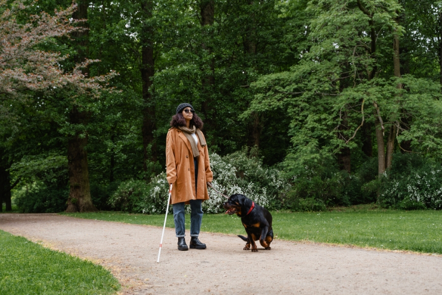 Tapis rouge à la canne blanche