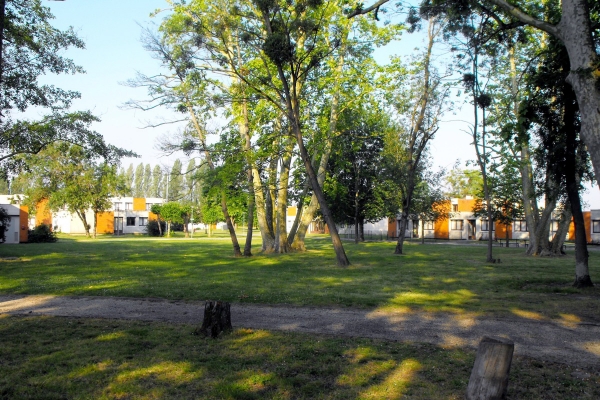 CSES et SESSAD Alfred Peyrelongue