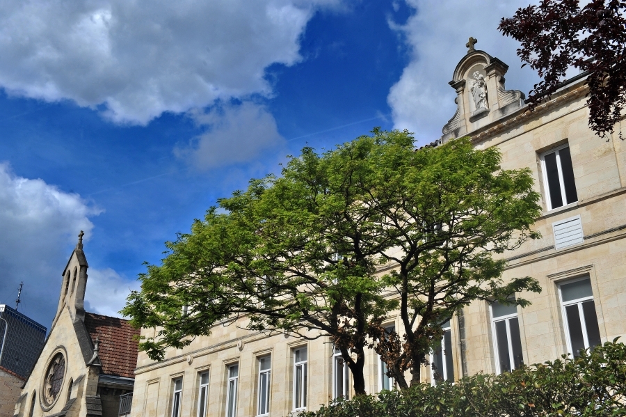 Rencontre avec Hayat KHAMISSI, la nouvelle chef de service du CESDA Richard Chapon